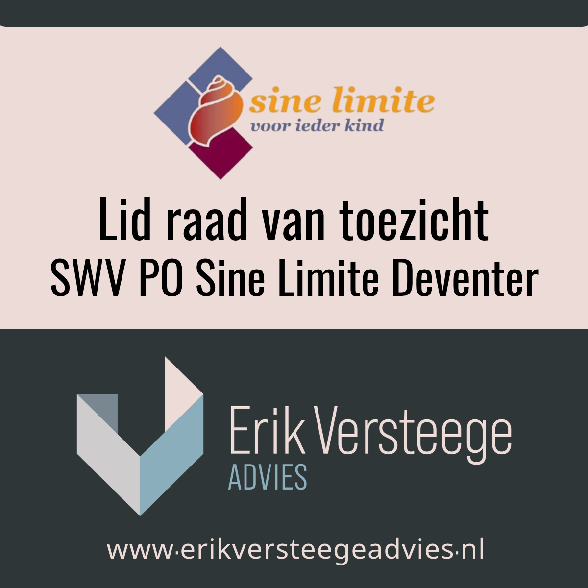 https://www.sinelimite.nl/assets/uploads/afbeelding-vacaturen-lid-raad-van-toezicht.png